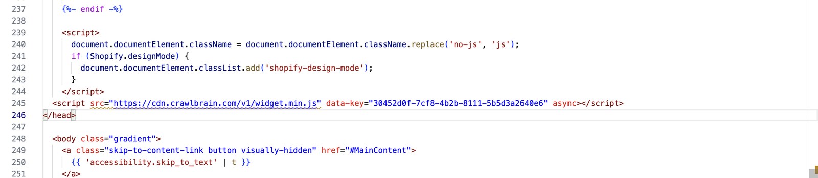 Pasting the script in theme.liquid